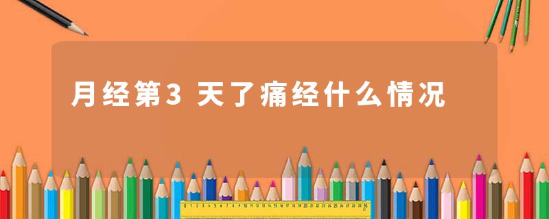 月经第3天了痛经什么情况