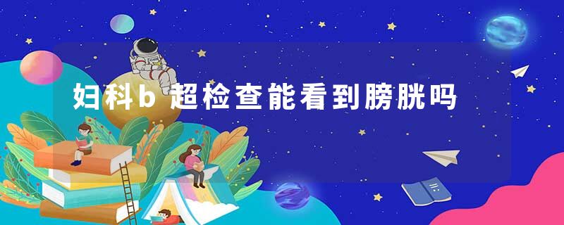 妇科b超检查能看到膀胱吗