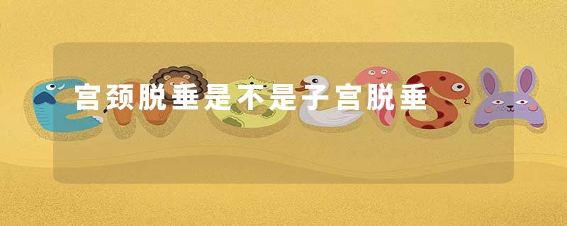 宫颈脱垂是不是子宫脱垂