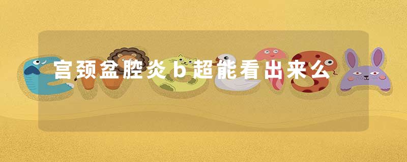 宫颈盆腔炎ｂ超能看出来么