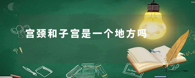宫颈和子宫是一个地方吗