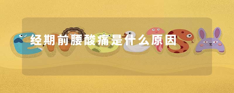 经期前腰酸痛是什么原因