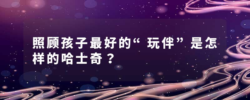 照顾孩子最好的“玩伴”是怎样的哈士奇？
