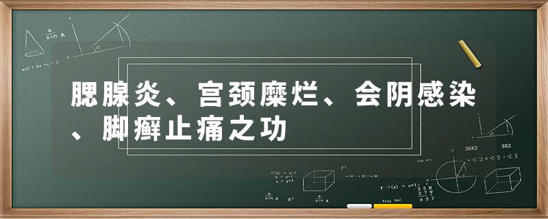 腮腺炎、宫颈糜烂、会阴感染、脚癣止痛之功