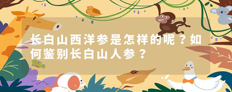 长白山西洋参是怎样的呢？如何鉴别长白山人参？