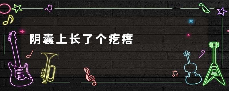 阴囊上长了个疙瘩