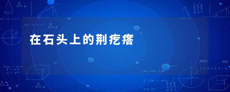 在石头上的荆疙瘩