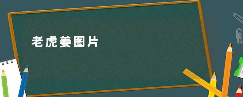 老虎姜图片