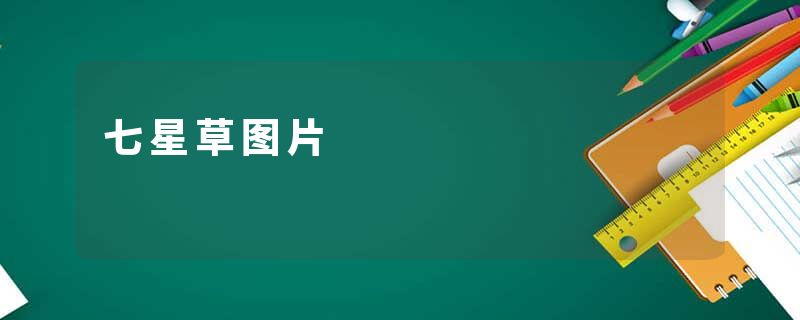 七星草图片