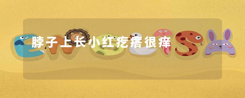 脖子上长小红疙瘩很痒