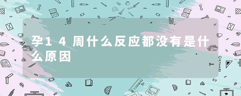 孕14周什么反应都没有是什么原因