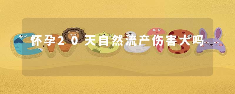 怀孕20天自然流产伤害大吗