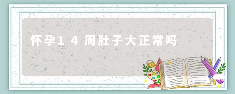 怀孕14周肚子大正常吗