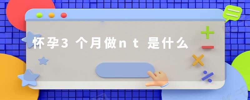 怀孕3个月做nt是什么