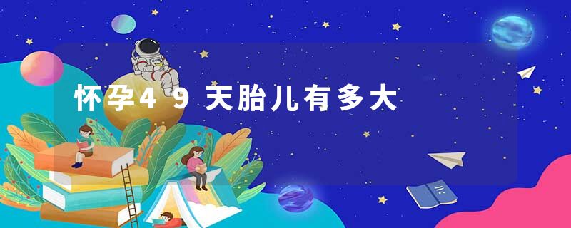 怀孕49天胎儿有多大