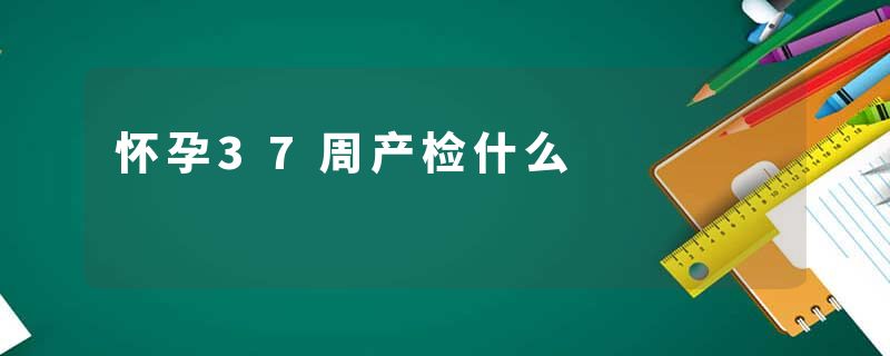 怀孕37周产检什么