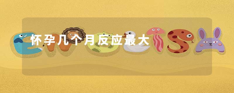 怀孕几个月反应最大