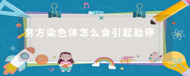男方染色体怎么会引起胎停