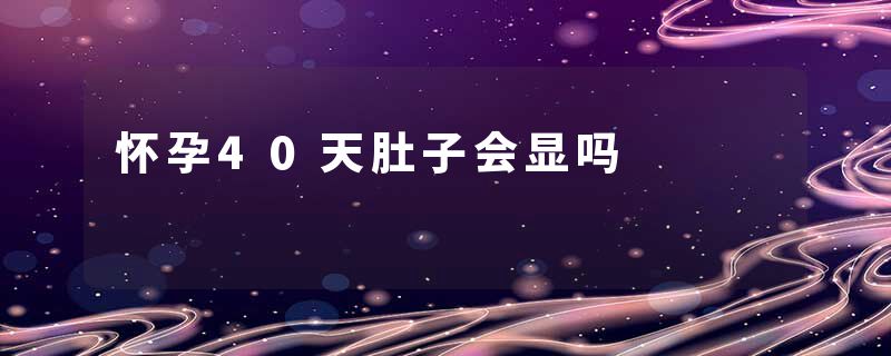 怀孕40天肚子会显吗