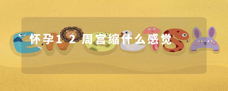 怀孕12周宫缩什么感觉