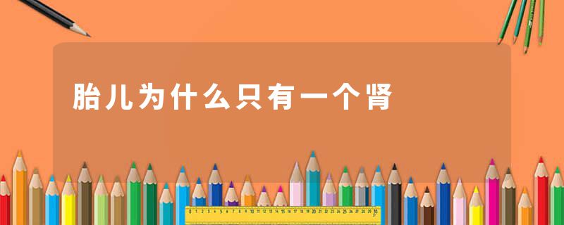 胎儿为什么只有一个肾