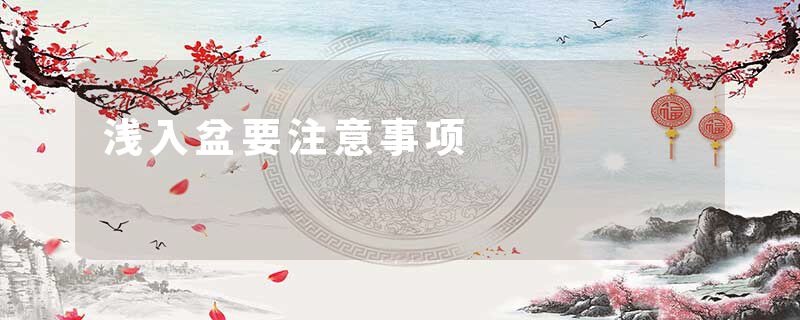 浅入盆要注意事项
