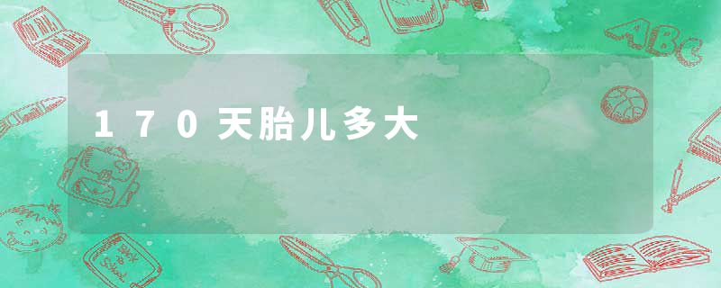 170天胎儿多大