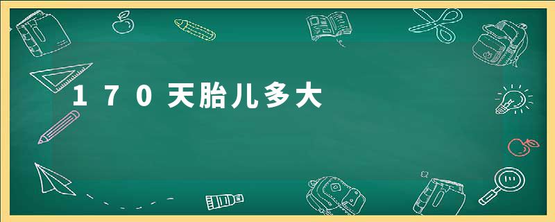 170天胎儿多大