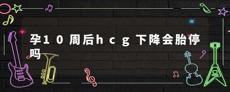 孕10周后hcg下降会胎停吗
