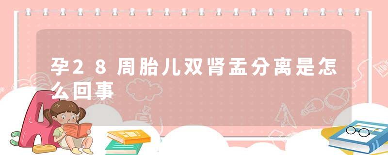 孕28周胎儿双肾盂分离是怎么回事