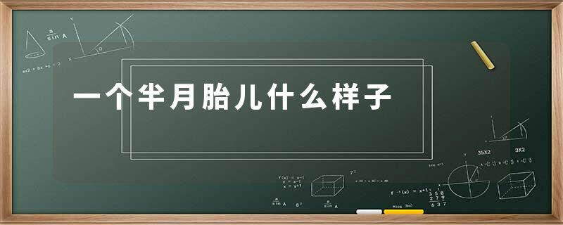一个半月胎儿什么样子