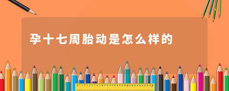 孕十七周胎动是怎么样的