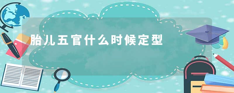 胎儿五官什么时候定型