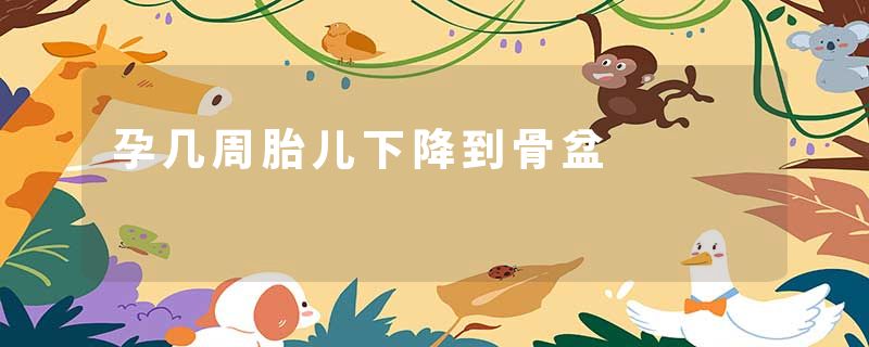 孕几周胎儿下降到骨盆
