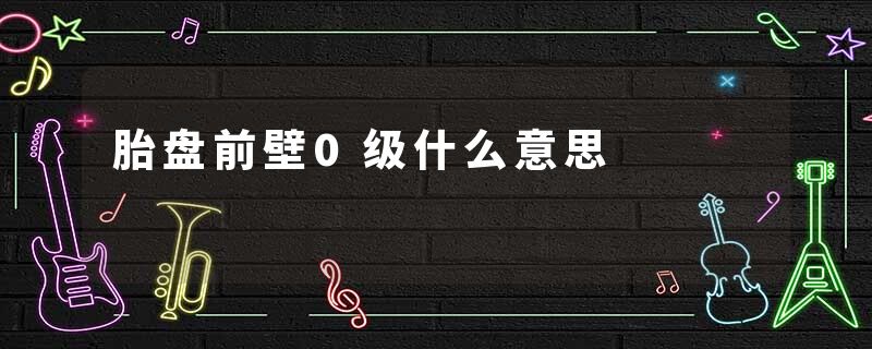 胎盘前壁0级什么意思