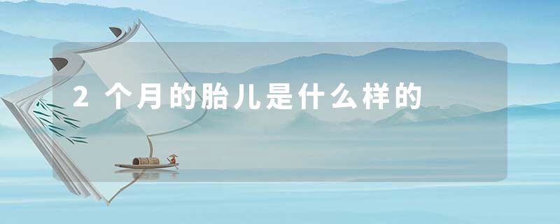2个月的胎儿是什么样的