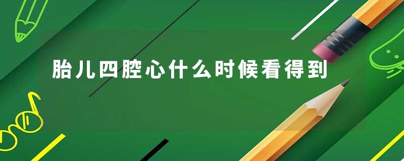 胎儿四腔心什么时候看得到