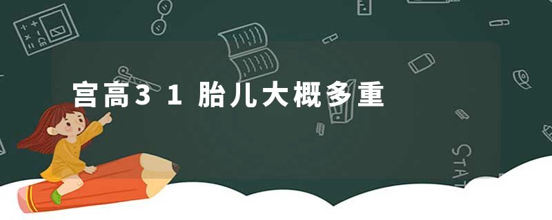 宫高31胎儿大概多重