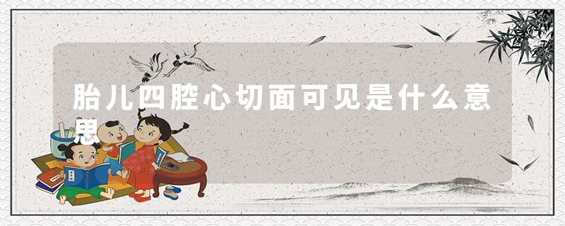 胎儿四腔心切面可见是什么意思