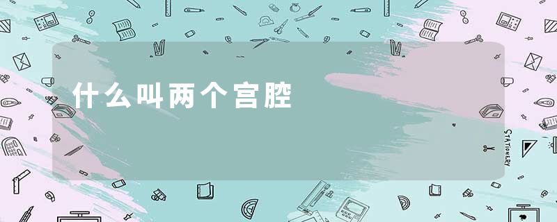 什么叫两个宫腔