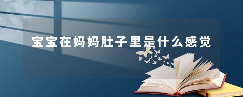 宝宝在妈妈肚子里是什么感觉