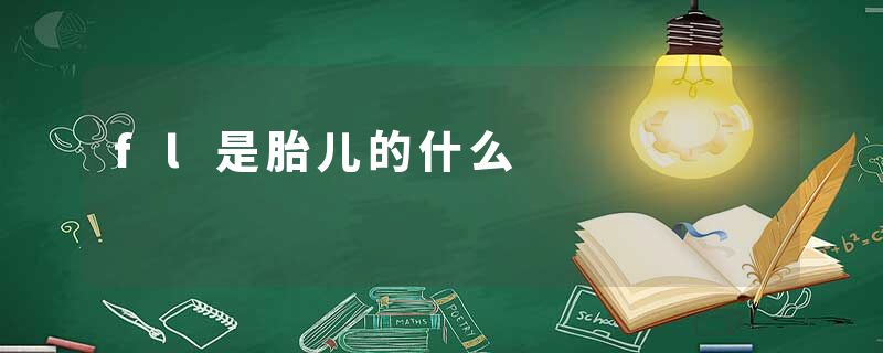 fl是胎儿的什么