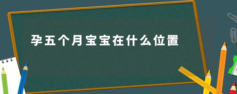 孕五个月宝宝在什么位置