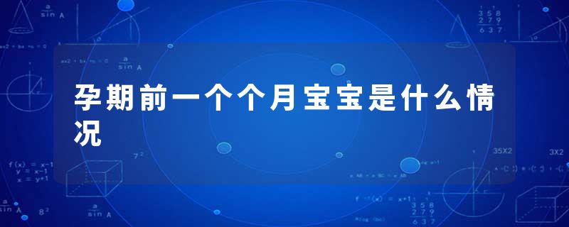 孕期前一个个月宝宝是什么情况