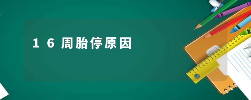 16周胎停原因