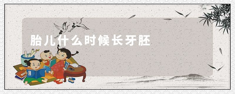 胎儿什么时候长牙胚