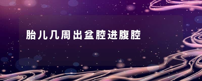 胎儿几周出盆腔进腹腔