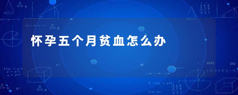 怀孕五个月贫血怎么办