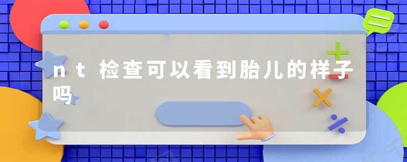 nt检查可以看到胎儿的样子吗