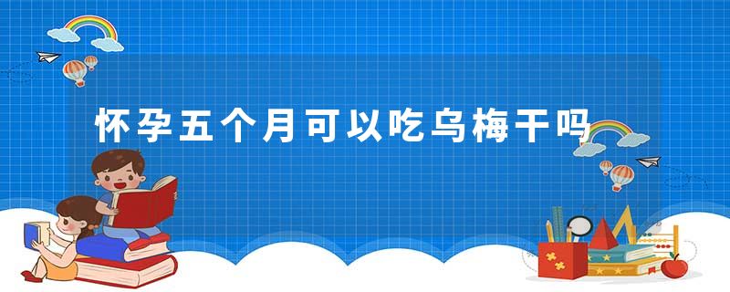 怀孕五个月可以吃乌梅干吗